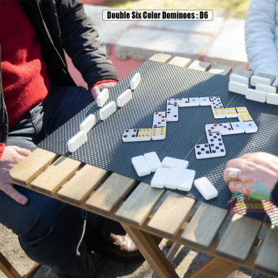 Double Six Color Dominoes : D6